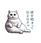エッホで伝える彼女ねこ【面白い】（個別スタンプ：12）