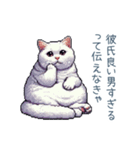エッホで伝える彼女ねこ【面白い】（個別スタンプ：15）