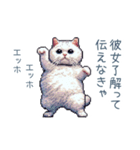 エッホで伝える彼女ねこ【面白い】（個別スタンプ：17）