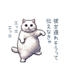 エッホで伝える彼女ねこ【面白い】（個別スタンプ：18）
