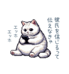 エッホで伝える彼女ねこ【面白い】（個別スタンプ：19）