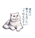 エッホで伝える彼女ねこ【面白い】（個別スタンプ：24）