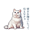 エッホで伝える彼女ねこ【面白い】（個別スタンプ：29）