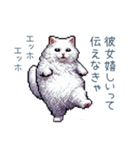 エッホで伝える彼女ねこ【面白い】（個別スタンプ：30）