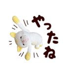 あみぐるみ 黄色猫（個別スタンプ：12）