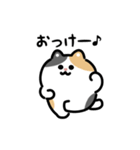 いろいろネコの動くスタンプ（文字付き）（個別スタンプ：1）