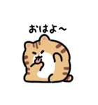 いろいろネコの動くスタンプ（文字付き）（個別スタンプ：2）
