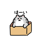 いろいろネコの動くスタンプ（文字付き）（個別スタンプ：4）