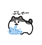 いろいろネコの動くスタンプ（文字付き）（個別スタンプ：7）