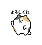 いろいろネコの動くスタンプ（文字付き）（個別スタンプ：11）