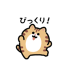 いろいろネコの動くスタンプ（文字付き）（個別スタンプ：12）