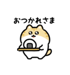 いろいろネコの動くスタンプ（文字付き）（個別スタンプ：16）