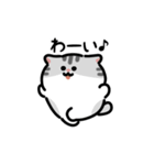 いろいろネコの動くスタンプ（文字付き）（個別スタンプ：18）