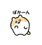 いろいろネコの動くスタンプ（文字付き）（個別スタンプ：23）
