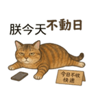 ブ猫オレンジ − 貴妃シリーズ第1弾（個別スタンプ：1）