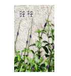 ガーデン.良い一日（8CTWJ13）改訂版（個別スタンプ：1）