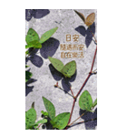 ガーデン.良い一日（8CTWJ13）改訂版（個別スタンプ：15）