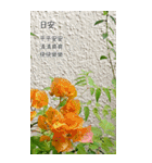 ガーデン.良い一日（8CTWJ13）改訂版（個別スタンプ：16）