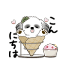 B＆W動くシーズー犬 2025 「初夏」（個別スタンプ：2）