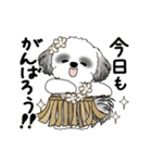 B＆W動くシーズー犬 2025 「初夏」（個別スタンプ：3）