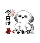 B＆W動くシーズー犬 2025 「初夏」（個別スタンプ：4）