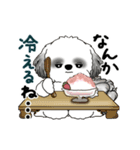 B＆W動くシーズー犬 2025 「初夏」（個別スタンプ：7）