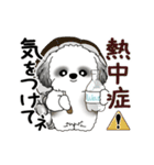 B＆W動くシーズー犬 2025 「初夏」（個別スタンプ：11）