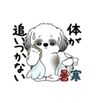 B＆W動くシーズー犬 2025 「初夏」（個別スタンプ：12）