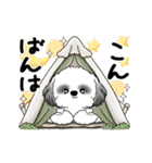 B＆W動くシーズー犬 2025 「初夏」（個別スタンプ：13）