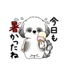 B＆W動くシーズー犬 2025 「初夏」（個別スタンプ：14）