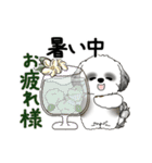 B＆W動くシーズー犬 2025 「初夏」（個別スタンプ：15）