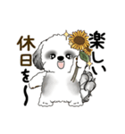 B＆W動くシーズー犬 2025 「初夏」（個別スタンプ：19）