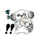 B＆W動くシーズー犬 2025 「初夏」（個別スタンプ：20）