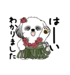 B＆W動くシーズー犬 2025 「初夏」（個別スタンプ：21）