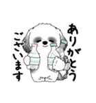 B＆W動くシーズー犬 2025 「初夏」（個別スタンプ：22）