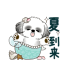 B＆W動くシーズー犬 2025 「初夏」（個別スタンプ：23）