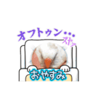 うちの小鳥ちゃんの日常アニメーション♡（個別スタンプ：10）