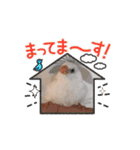うちの小鳥ちゃんの日常アニメーション♡（個別スタンプ：15）