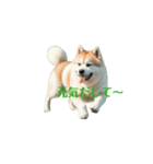 秋田犬 move（個別スタンプ：4）