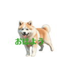 秋田犬 move（個別スタンプ：6）