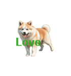 秋田犬 move（個別スタンプ：9）