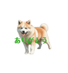 秋田犬 move（個別スタンプ：14）