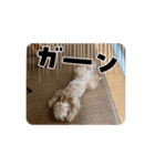 犬と子供のスタンプ。（個別スタンプ：7）