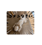 犬と子供のスタンプ。（個別スタンプ：8）