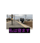 鉄道 動画 スタンプ（個別スタンプ：7）