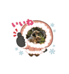 りん⭐︎everyday7（個別スタンプ：1）
