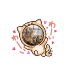 りん⭐︎everyday7（個別スタンプ：5）