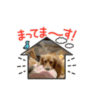 りん⭐︎everyday7（個別スタンプ：8）