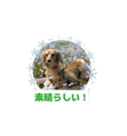 りん⭐︎everyday7（個別スタンプ：13）