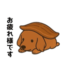 お寿司ぃ〜ヌ【挨拶】【普段使い】（個別スタンプ：7）